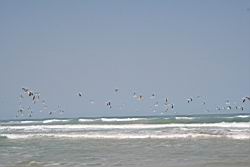 2011.01.31.102.jpg