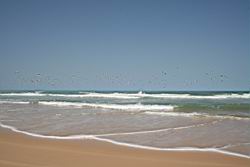 2011.01.31.103.jpg