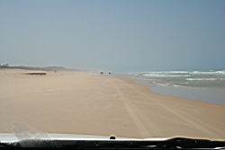 2011.01.31.104.jpg
