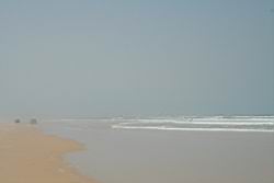 2011.01.31.105.jpg