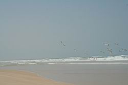 2011.01.31.107.jpg