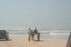 2011.01.31.110.jpg