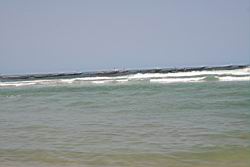 2011.01.31.112.jpg