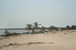 2011.01.31.119.jpg