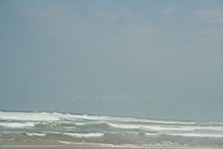 2011.01.31.12.jpg