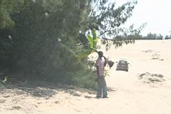 2011.01.31.123.jpg