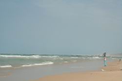 2011.01.31.15.jpg