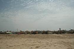 2011.01.31.21.jpg