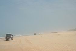2011.01.31.22.jpg