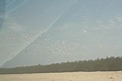 2011.01.31.23.jpg