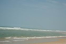 2011.01.31.25.jpg