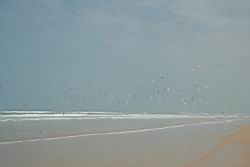 2011.01.31.30.jpg