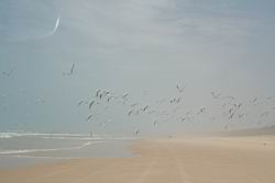 2011.01.31.31.jpg
