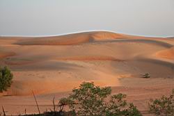 2011.01.31.80.jpg