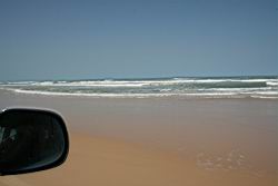 2011.01.31.95.jpg