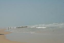 2011.01.31.98.jpg