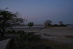 2011.02.19.20.jpg