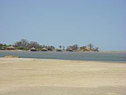 2011.02.19.23.JPG