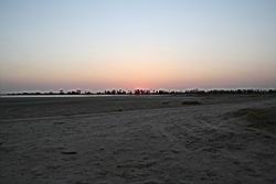 2011.02.19.27.jpg