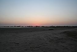 2011.02.19.28.jpg