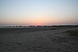 2011.02.19.29.jpg