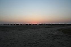 2011.02.19.30.jpg