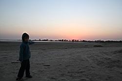 2011.02.19.33.jpg