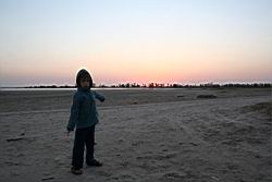 2011.02.19.35.jpg