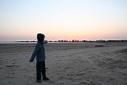 2011.02.19.36.jpg