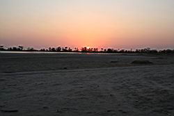 2011.02.19.39.jpg