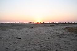2011.02.19.42.jpg