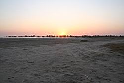 2011.02.19.43.jpg