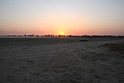2011.02.19.45.jpg