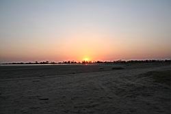 2011.02.19.46.jpg