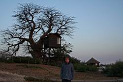 2011.02.19.47.jpg