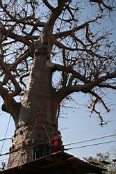 2011.02.22.39.jpg