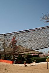 2011.02.22.50.jpg