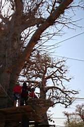 2011.02.22.56.jpg
