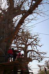 2011.02.22.57.jpg
