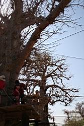 2011.02.22.58.jpg