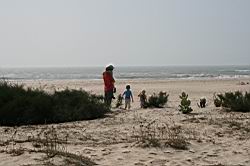 2011.03.03-4-5.04.jpg