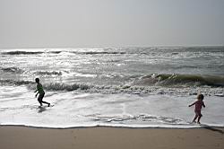2011.03.03-4-5.10.jpg