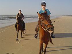 2011.03.03-4-5.27.jpg