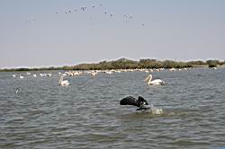 2011.03.03-4-5.32.jpg