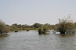 2011.03.03-4-5.34.jpg