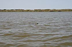 2011.03.03-4-5.36.jpg