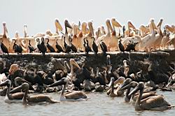 2011.03.03-4-5.41.jpg