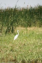 2011.03.03-4-5.42.jpg