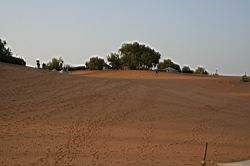2011.03.06.006.jpg