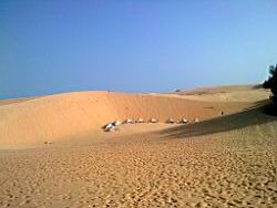 2011.03.06.007.jpg